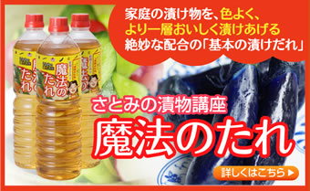 青菜漬け せいさいづけ レシピ レシピ 新関さとみの田舎ごはん 漬物 料理